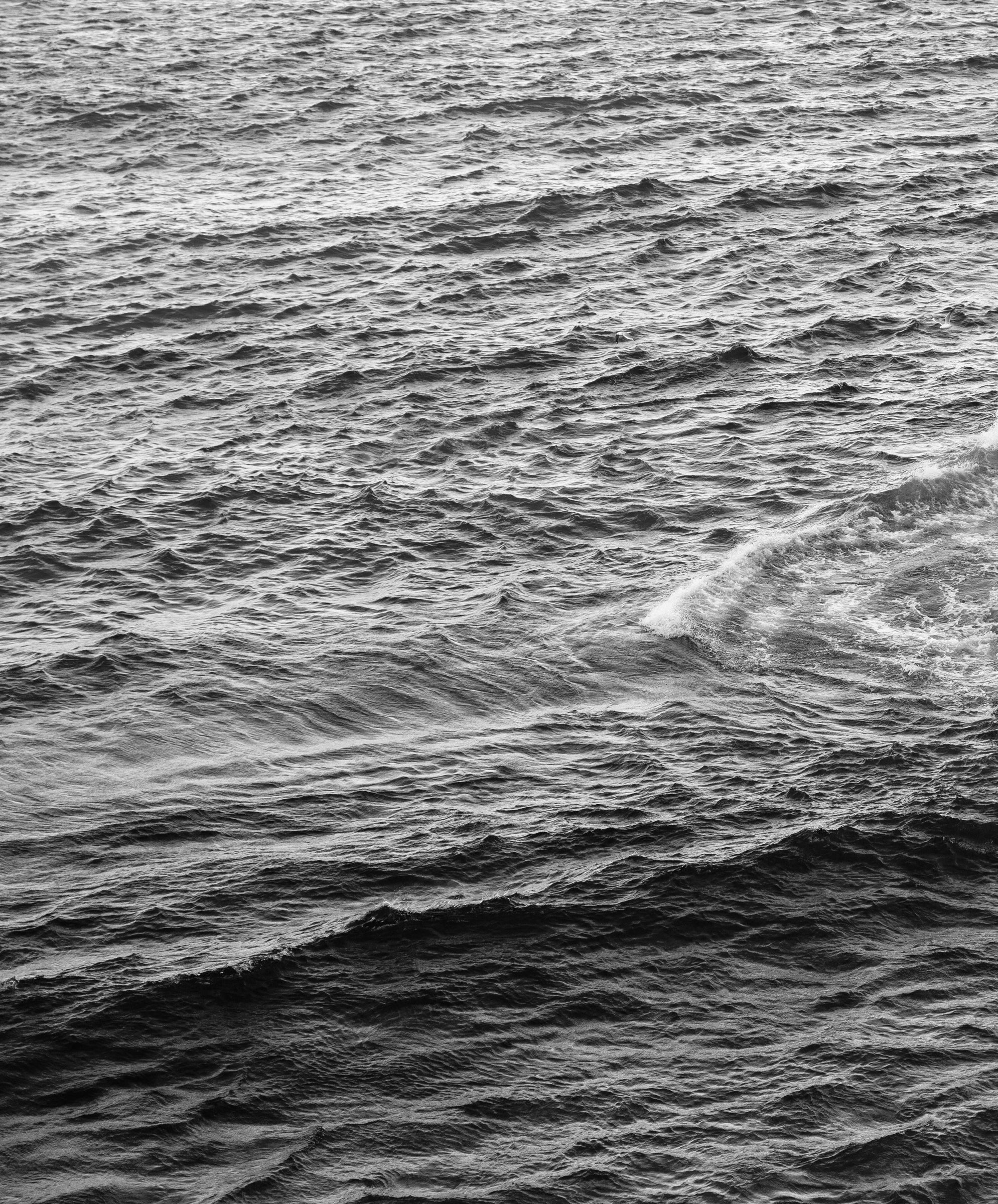 Apex Jacket by Kelly Slater - SALE - Outerworn - Image 3