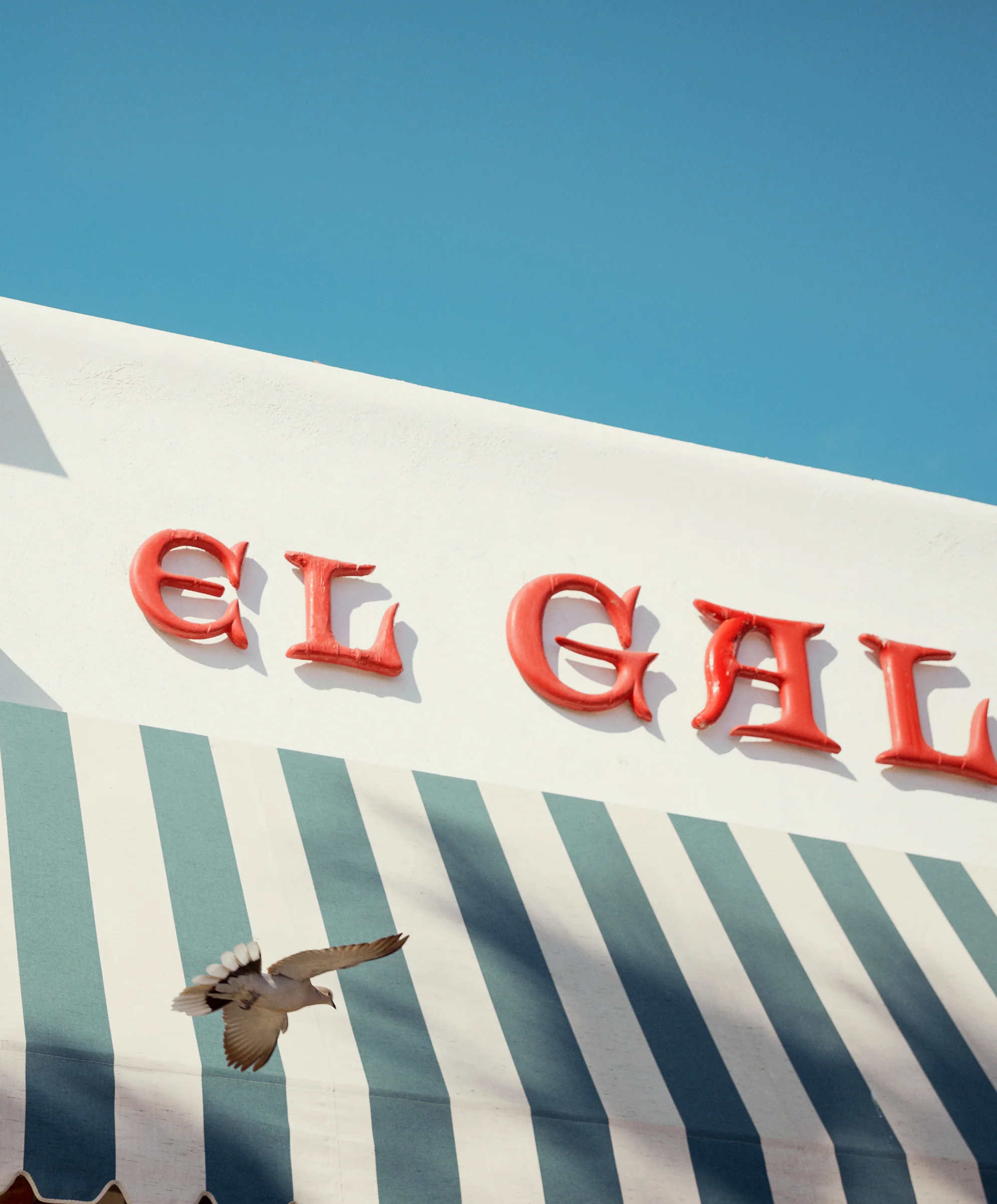 S.E.A. Suit - Outerworn - Image 6