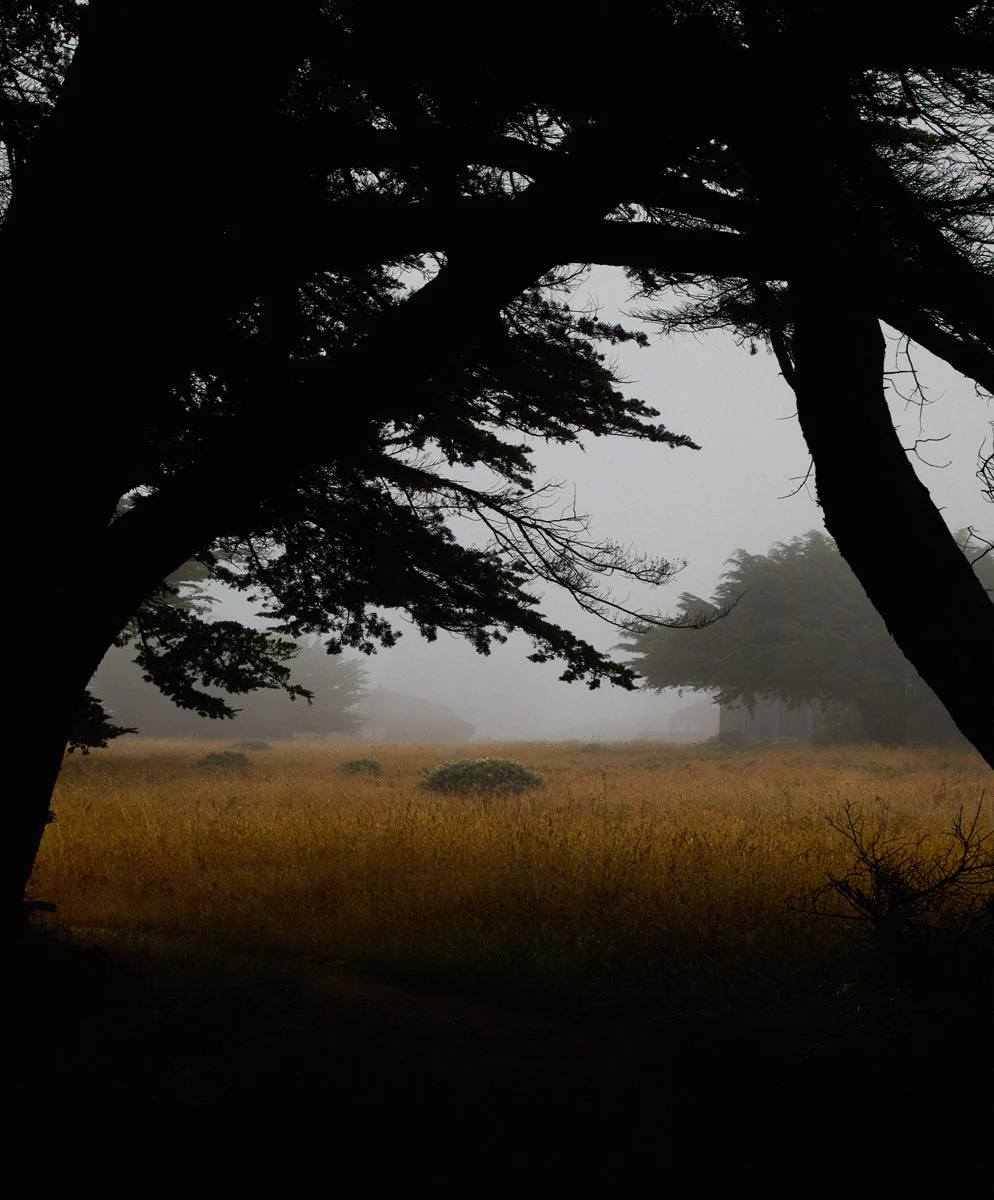 Statesman Relaxed Fit - Outerworn - Image 3