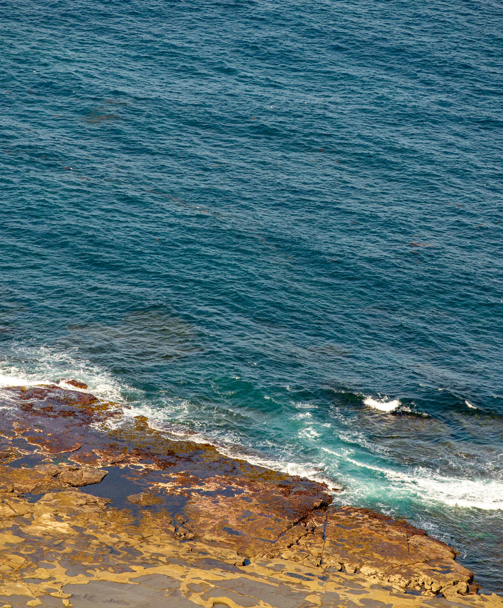 Women's Hightide Hoodie - Outerworn - Image 7